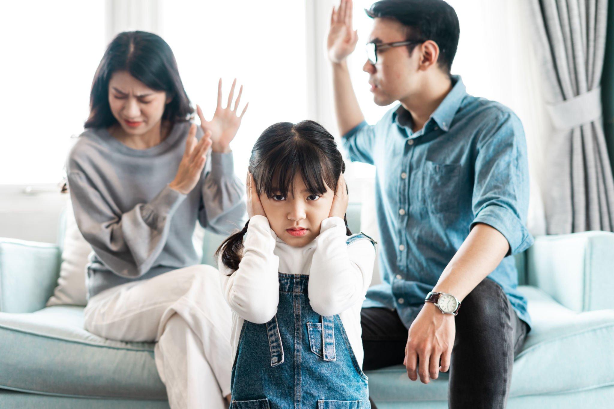 Impact of Domestic Violence on Children By Witnessing The Abuse on Parent